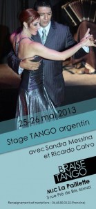 Flyer stage 5 - Sandra_Ricardo